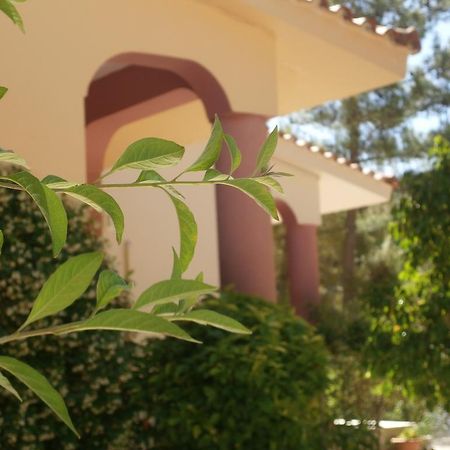 Kefallonia Bay Resort Spartia  Dış mekan fotoğraf