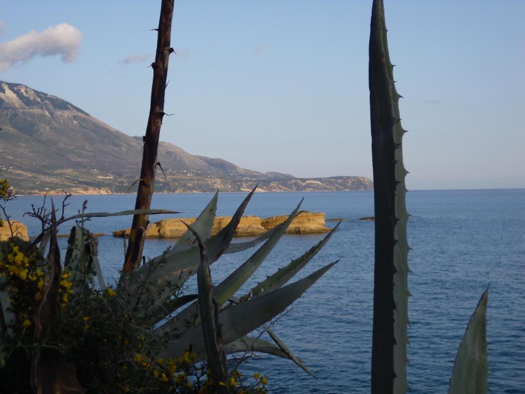 Kefallonia Bay Resort Spartia  Dış mekan fotoğraf