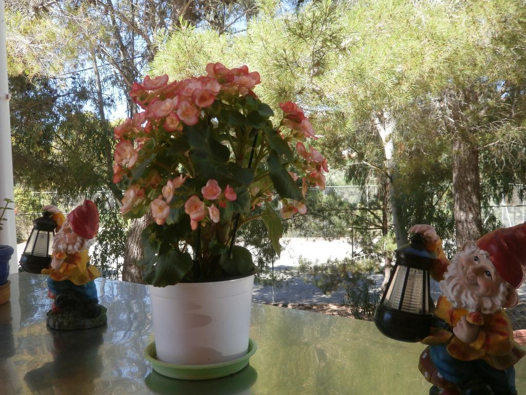 Kefallonia Bay Resort Spartia  Dış mekan fotoğraf