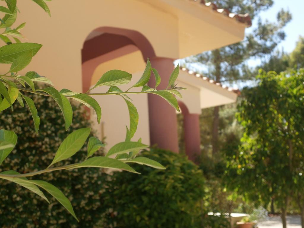 Kefallonia Bay Resort Spartia  Dış mekan fotoğraf