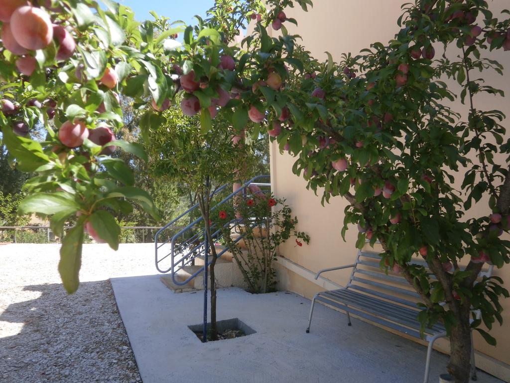 Kefallonia Bay Resort Spartia  Dış mekan fotoğraf