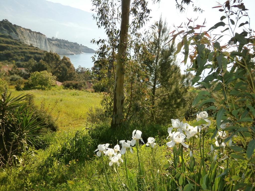 Kefallonia Bay Resort Spartia  Dış mekan fotoğraf