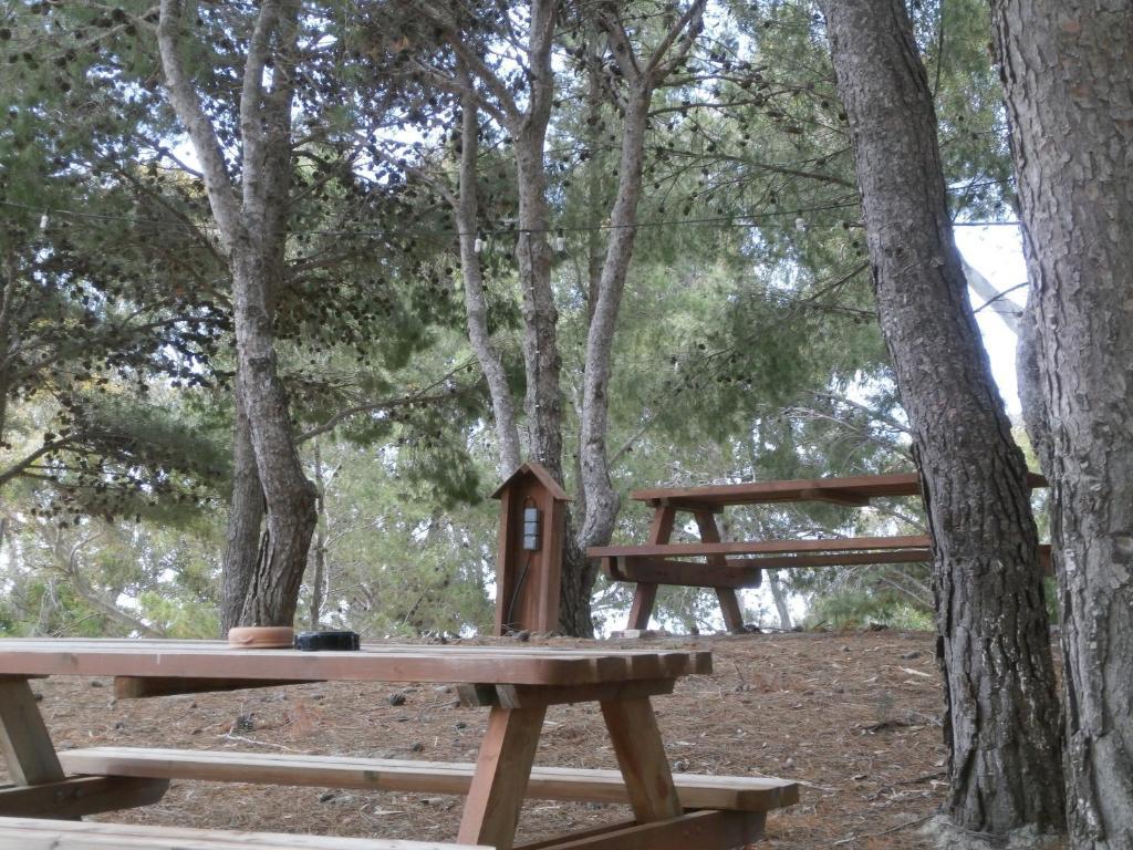 Kefallonia Bay Resort Spartia  Dış mekan fotoğraf